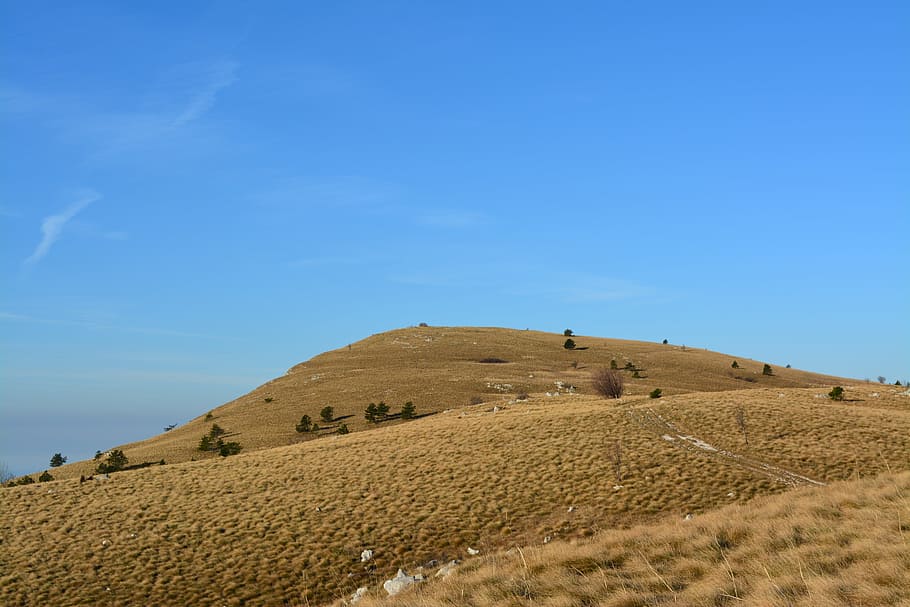 mountain, green, grass, landscape, nature, sky, blue, forest HD wallpaper