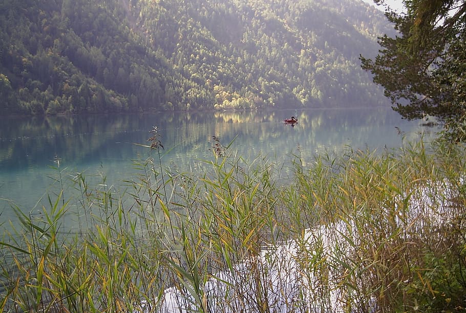 lake, nature, water, trees, laguna, landscape, plant, tranquility HD wallpaper