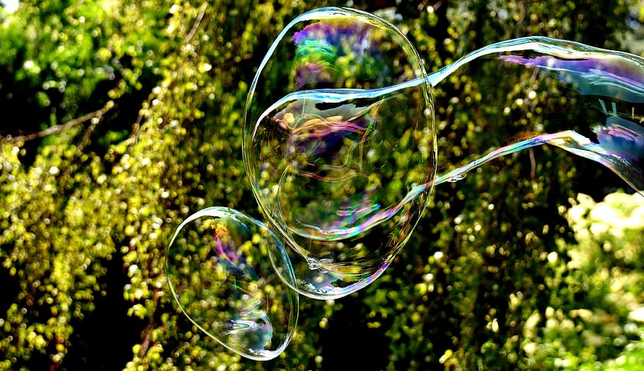 bubble near green leafed plant during daytime, Soap Bubble HD wallpaper