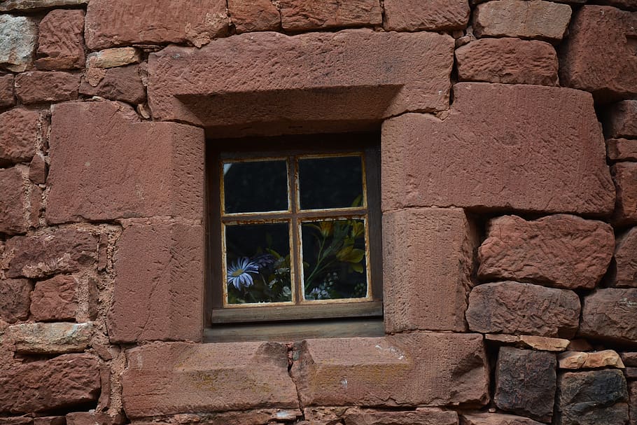 window, flowers, red wall, design, architecture, built structure HD wallpaper