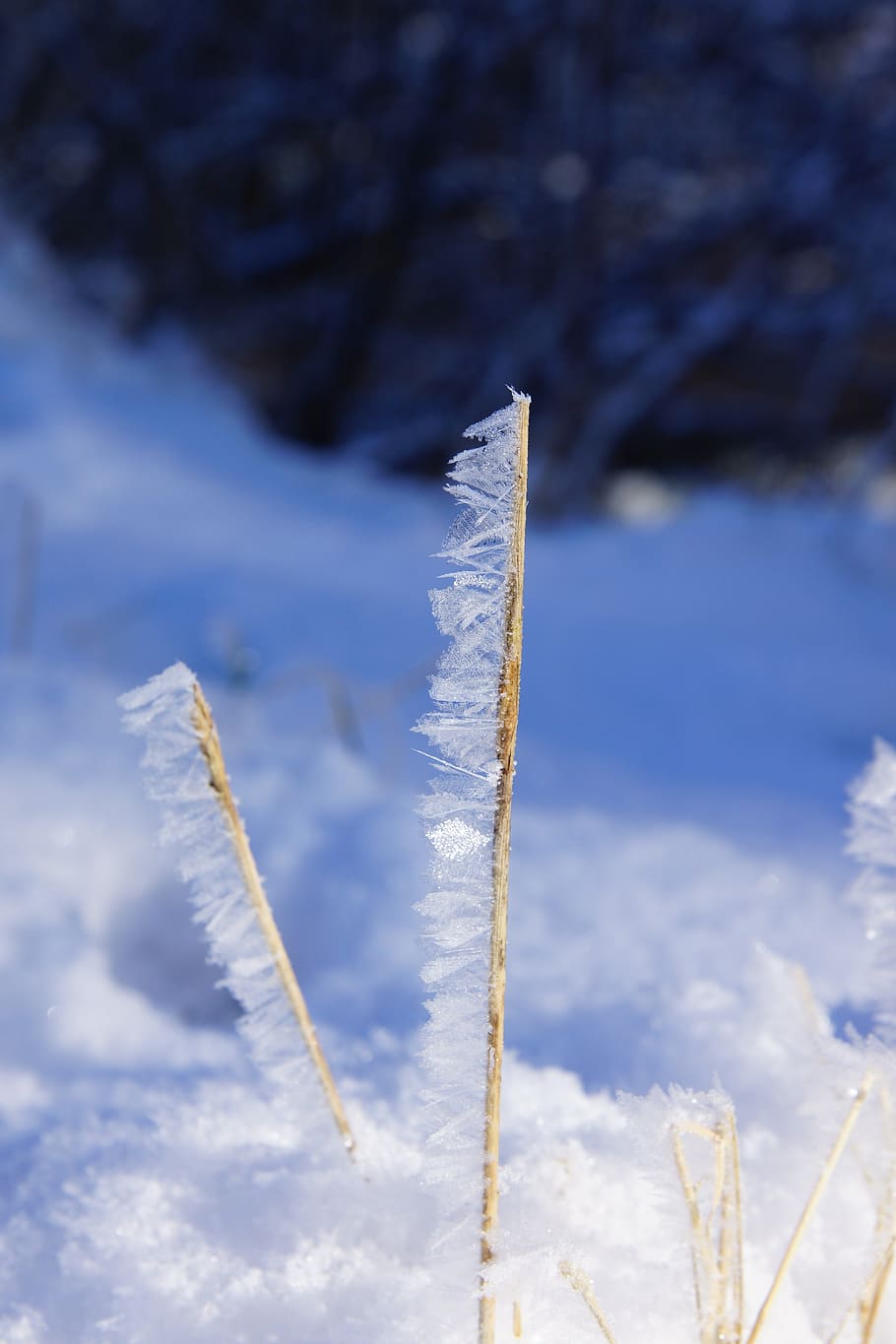 nature, winter, snow, cold, cloud - sky, day, cold temperature HD wallpaper