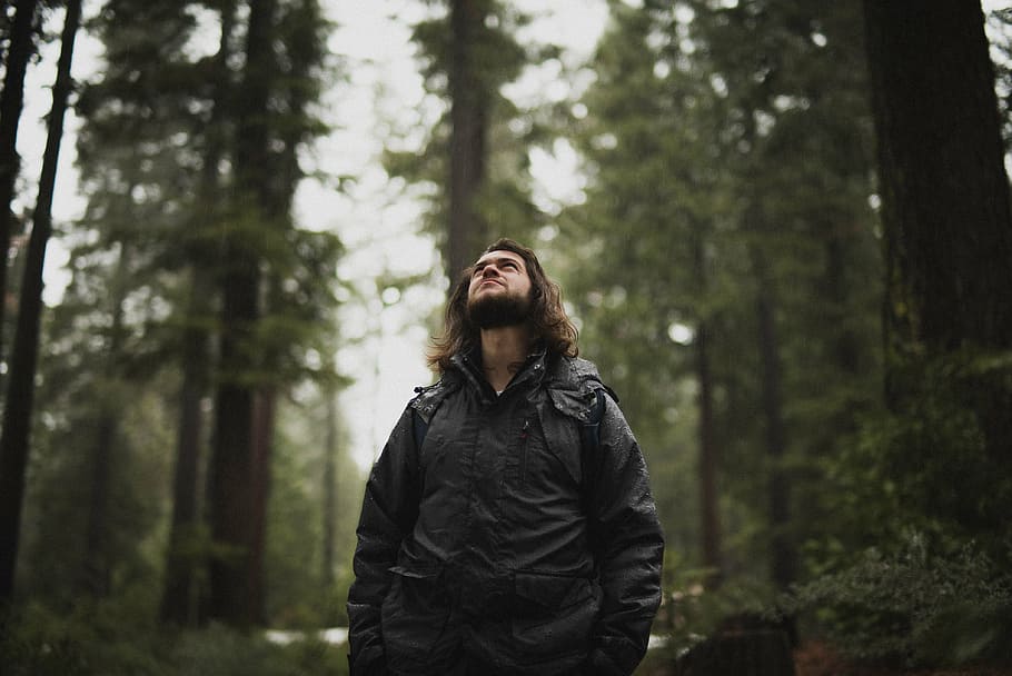 selective focus photography of man looking upwards, people HD wallpaper
