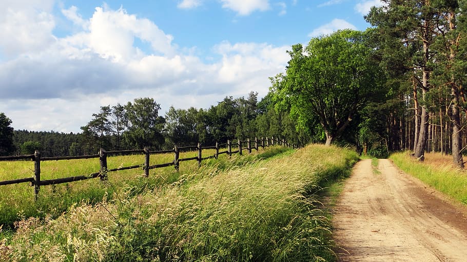 brown path road between grass during daytime, lane, trail, cycle path HD wallpaper