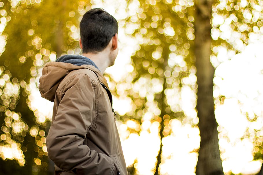 man, person, walking, park, autumn, bokeh, boy, fall, guy, tree HD wallpaper