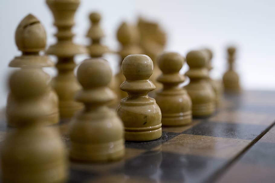 brown chess pieces, white, game, board, strategy, competition HD wallpaper