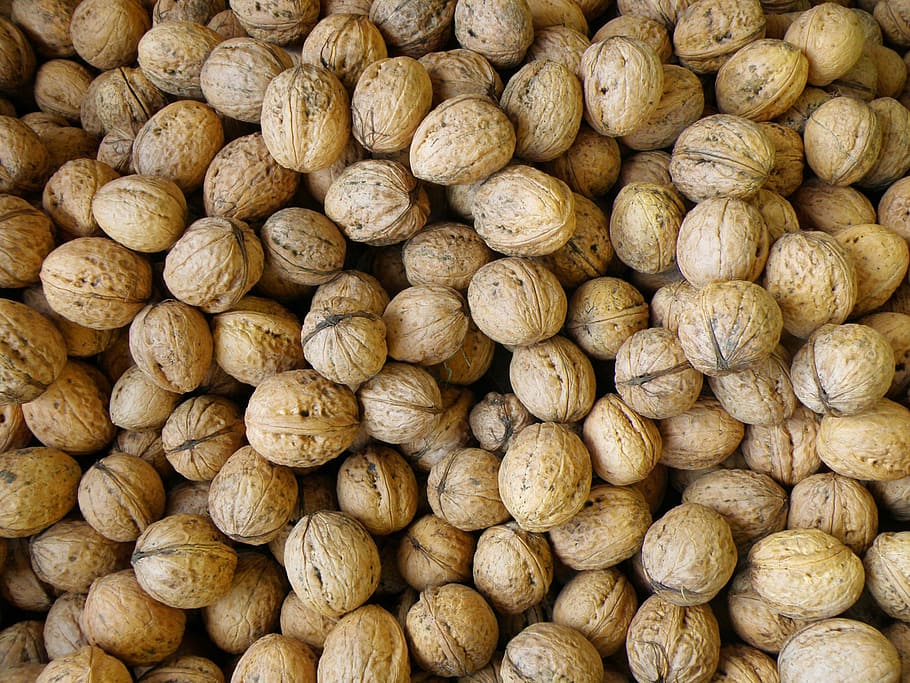 Walnuts, Harvest, food and drink, large group of objects, backgrounds HD wallpaper