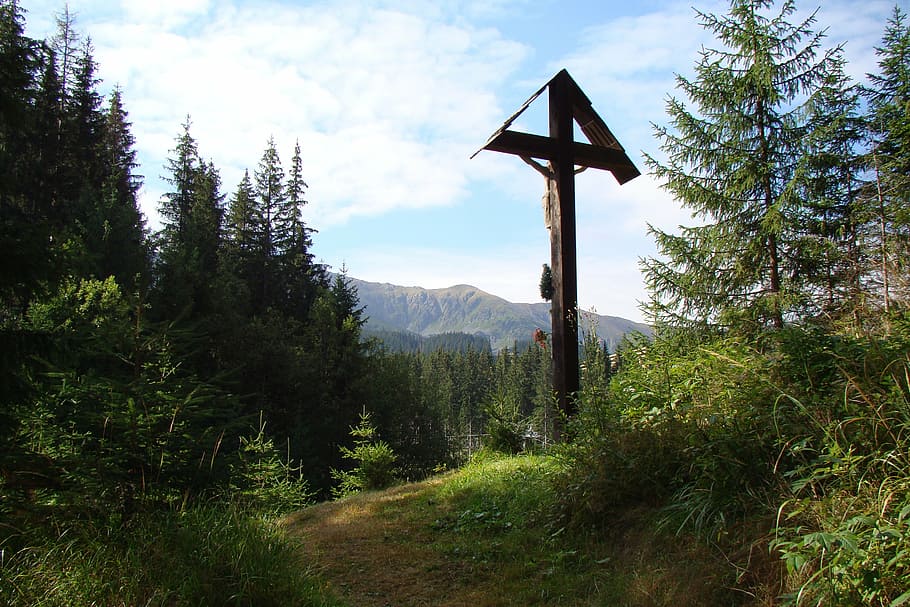 cross, summit, idyll, forest, jesus crist, religion, wodden HD wallpaper