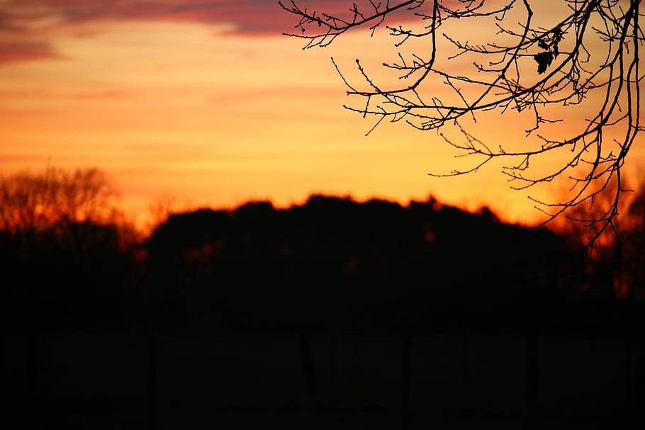 Sunset, Evening, Afterglow, Sky, evening sky, setting sun, landscape HD wallpaper