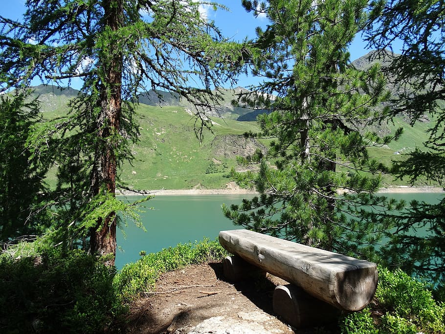 bench, rest, enjoy, wooden bench, bergsee, nature, relax, recover