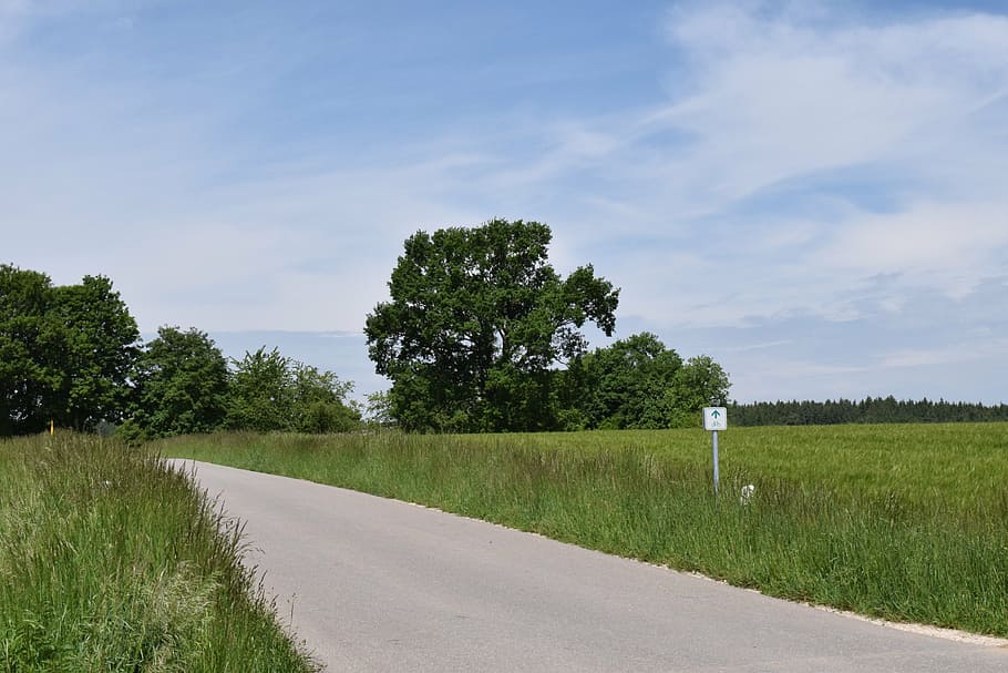 landscape, road, nature, unknown, travel, asphalt, rural, meadow HD wallpaper