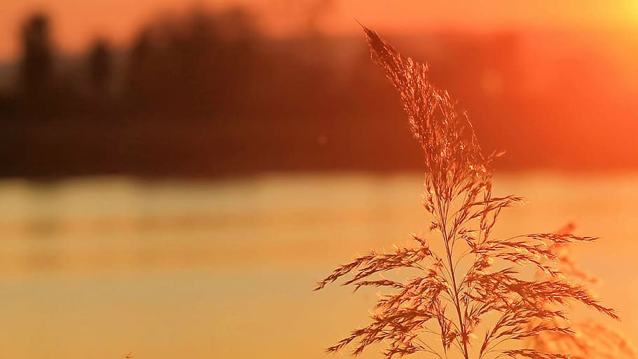 sunset, rush, abendstimmung, romantic, twilight, dusk, landscape HD wallpaper