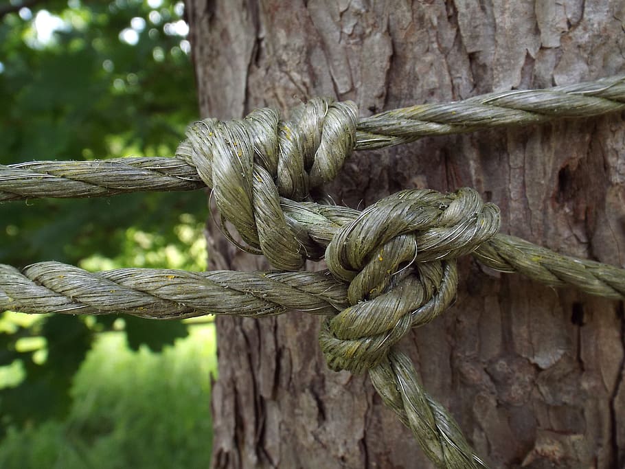 rope, knot, link, knotted, cord, detention, fixing, close-up HD wallpaper