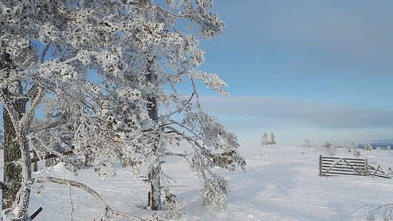 HD wallpaper: winter, levi, snow, frost, snowy, fell, white | Wallpaper Flare