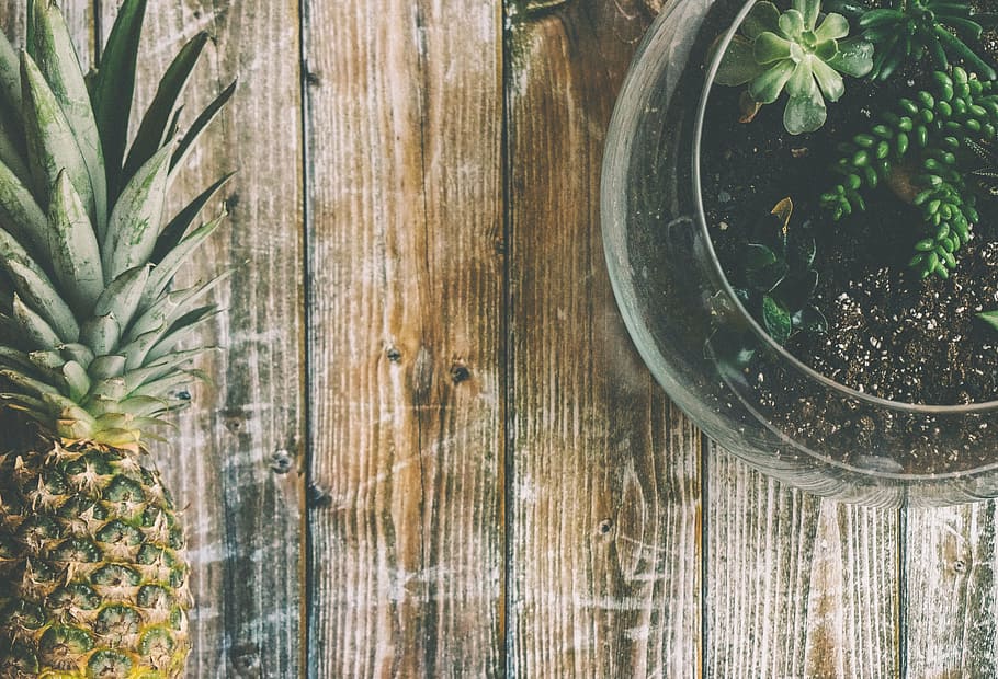 pineapple on brown table, desk, wood, flat lay, succulents HD wallpaper