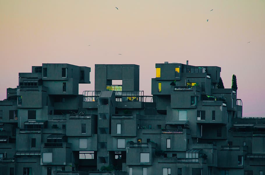 grey concrete buildings, highrise building, birds, gray, multi-layer HD wallpaper