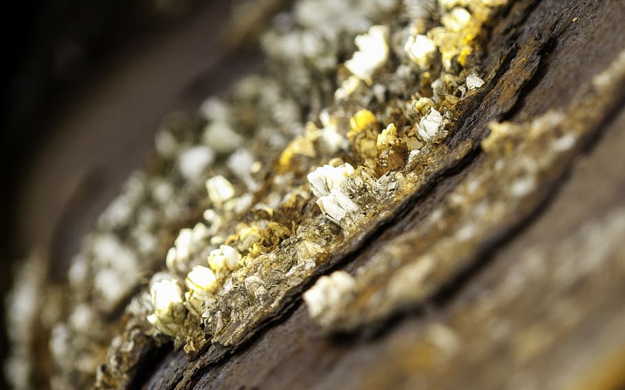 rusty pox, barnacles, stainless, metal, iron, old, rusted, allen HD wallpaper