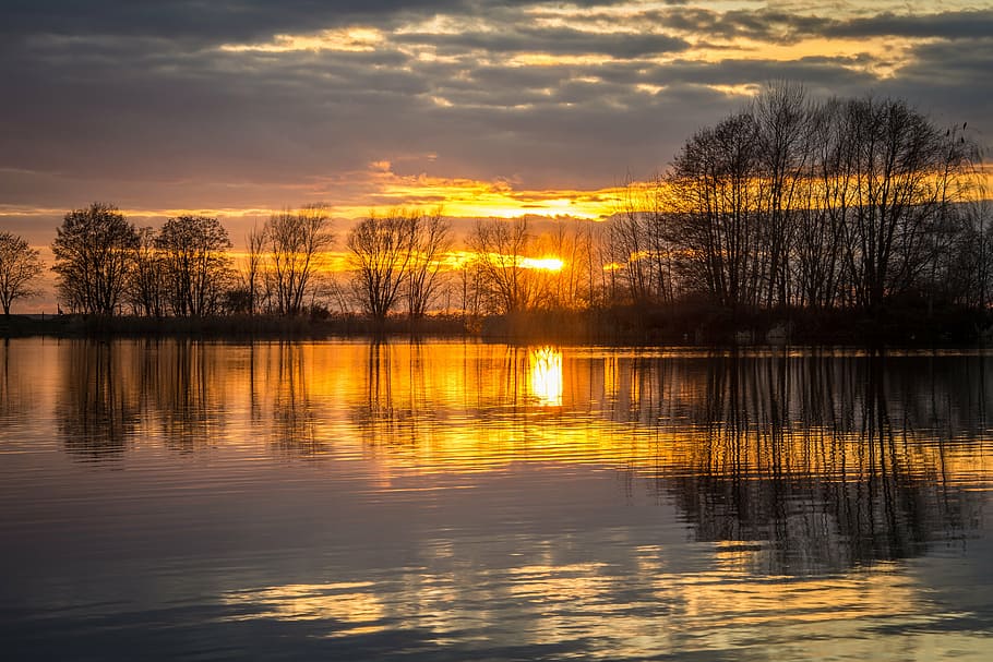 photo of trees near body of water during golden hour, sunset HD wallpaper