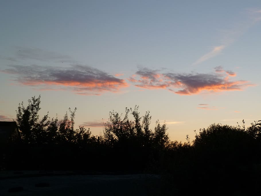 sunset, sky, evening sky, abendstimmung, rest, tree, plant HD wallpaper