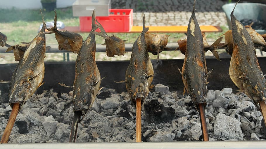 steckerlfisch, mackerel, grill, fish, charcoal, fire, food HD wallpaper