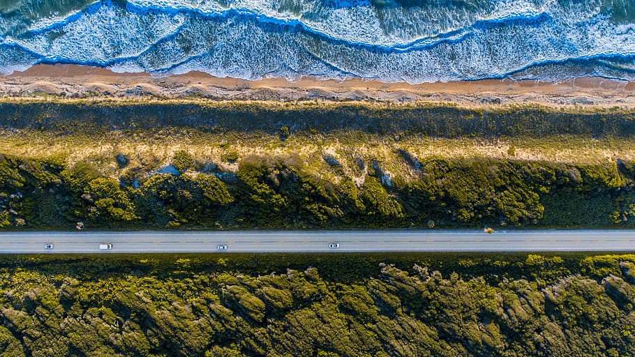 green, grass, trees, plant, landscape, nature, sea, ocean, water HD wallpaper