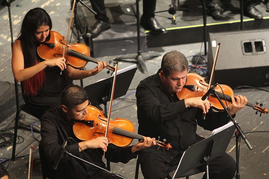 three person playing violins, orchestra, music, musical, concert, HD wallpaper