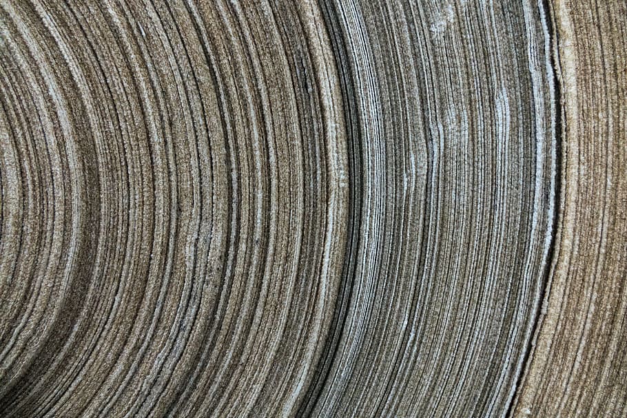 background, texture, textile, cloth, roll, design, layer, backgrounds and textures HD wallpaper