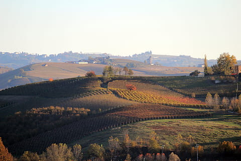 langhe, unesco, barolo, piemonte, landscape, agriculture, environment HD wallpaper