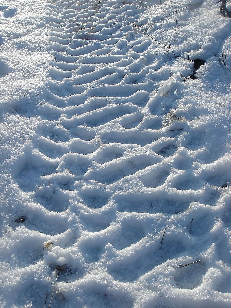 Winter, Snow, Print, Path, full frame, backgrounds, white color HD wallpaper