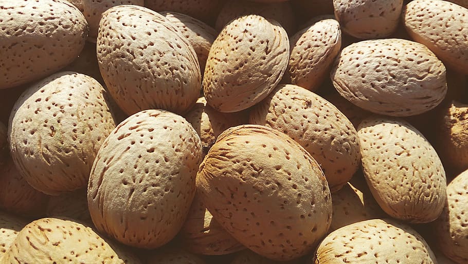 almonds, dried fruits, shell, dry, dry fruit, healthy, food HD wallpaper