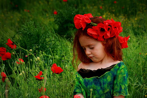 girl-poppies-red-red-hair-thumbnail.jpg