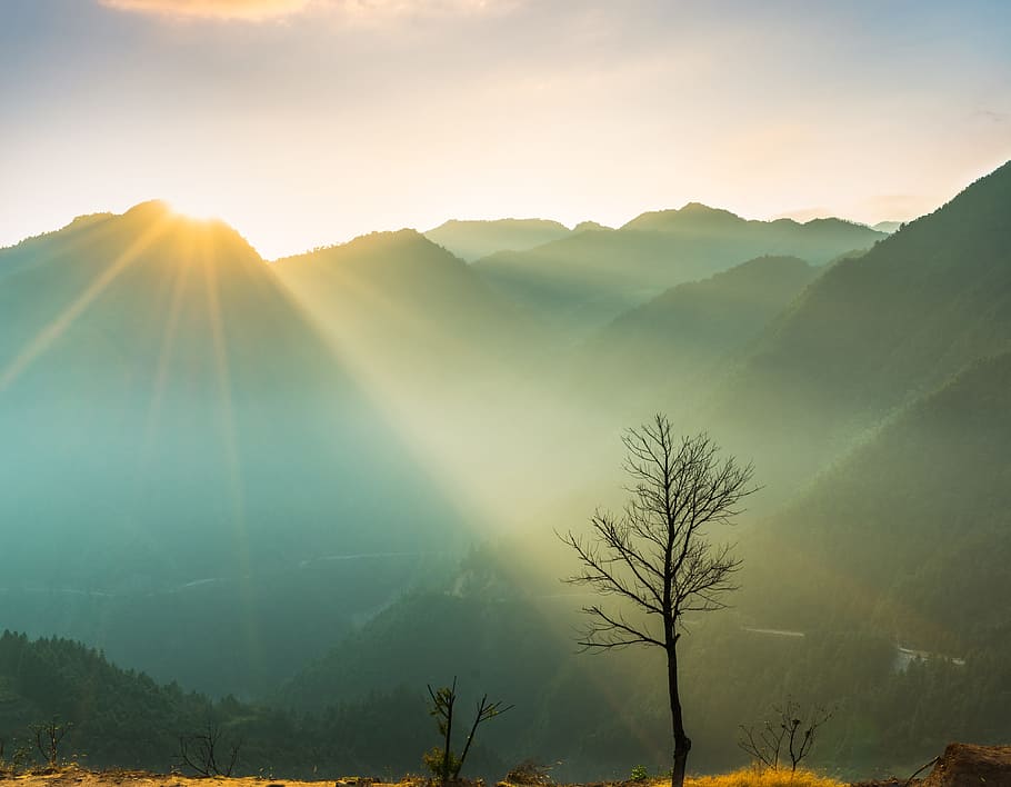 Nature, Sol, green, sunlight, sunbeam, fog, landscape, beauty in nature HD wallpaper