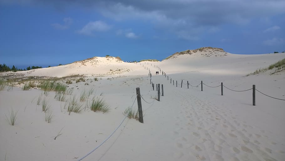 sand, grass, scrub, overgrown wilderness, scenics - nature HD wallpaper