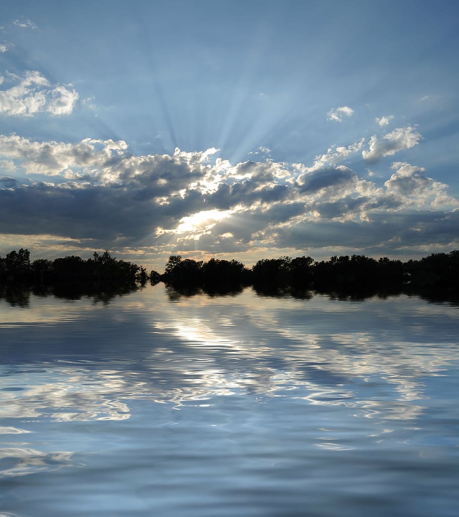 photograph of mangroves near body of water, sun, evening, sunset HD wallpaper
