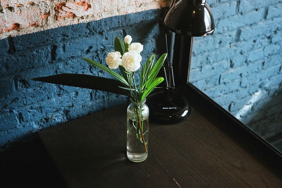 green leafed plant and white flowers in clear glass vase placed on brown wooden surface, white petaled flower
