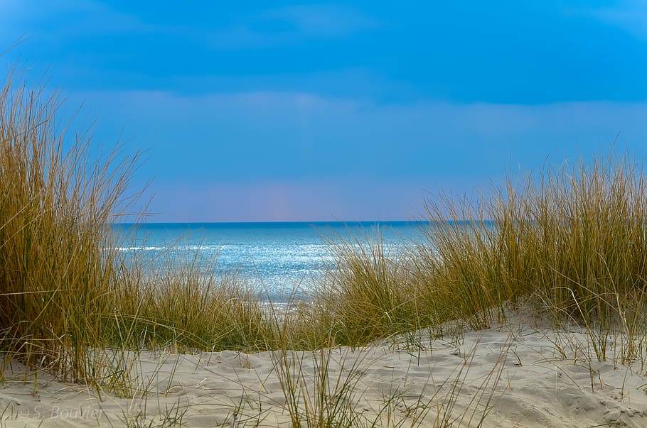 beach, sand, sky, blue, nature, sea, wave, the north sea, cloud HD wallpaper