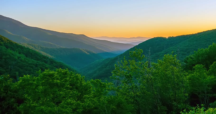 green mountain with forest, morning after, blue ridge mountains