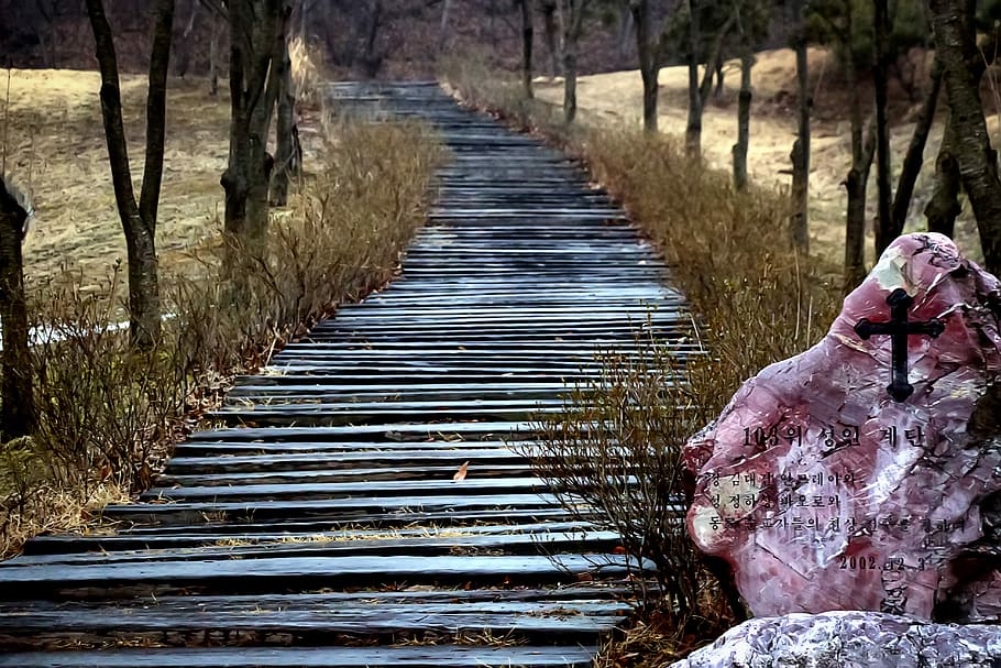 Cathedral, Wish, Genesis, Prayer, gil, the road to god, cowl HD wallpaper