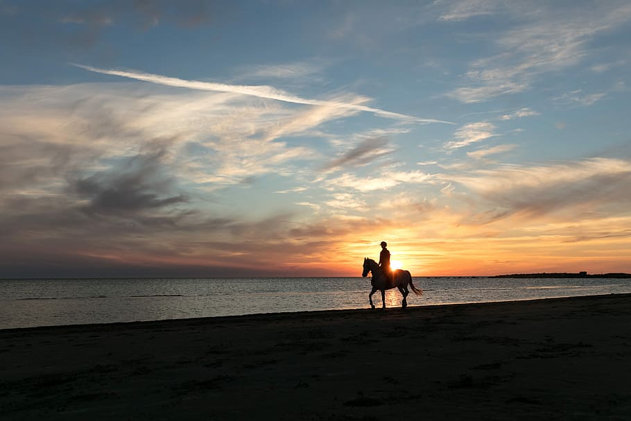 Mindful moment 3, horseman on shore, sunset, sunrise, cloud, blue HD wallpaper