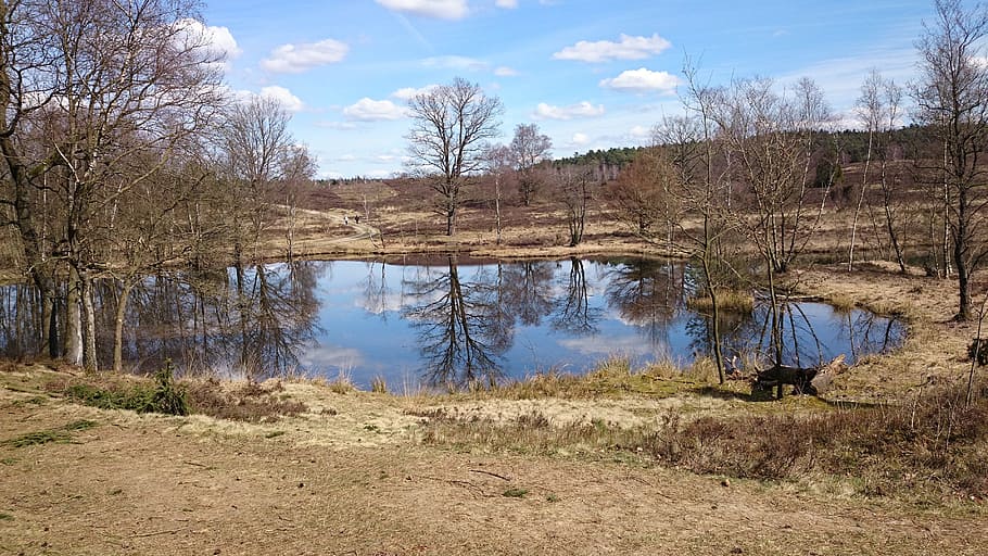 Spring, Lake, Mirroring, nature, landscape, tree, water, scenics HD wallpaper