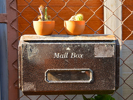 two green cactus plants on brown metal mailbox, mail box, postage HD wallpaper