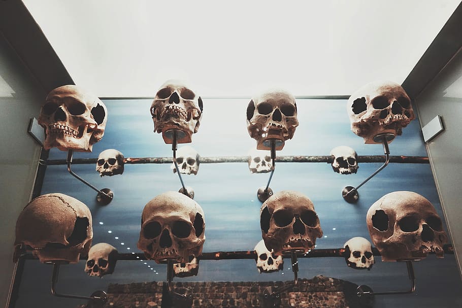 hanged skull collection, filtered photography of hanged skulls HD wallpaper