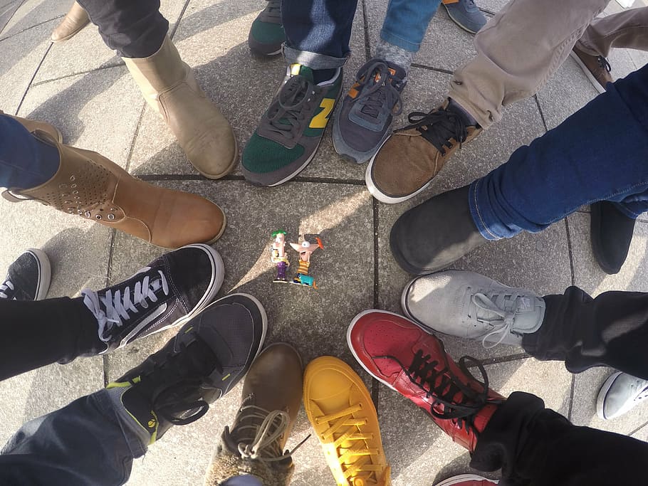 feet, pets, colors, low section, high angle view, shoe, human leg HD wallpaper