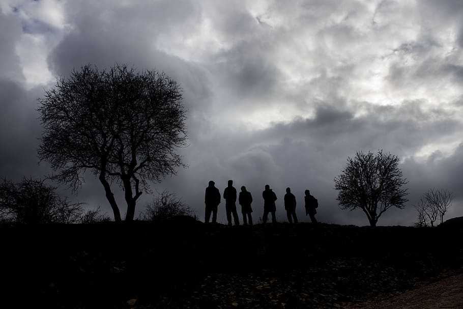 silhouette, tree, reverse light, sky, cloud, landscape, mardin HD wallpaper