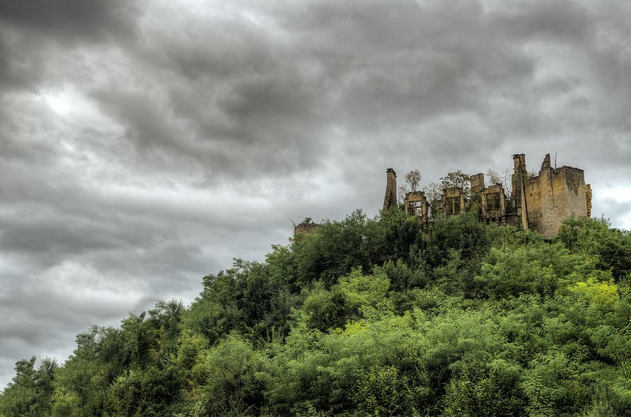 brown building on hill with green trees under grey sky at daytime HD wallpaper