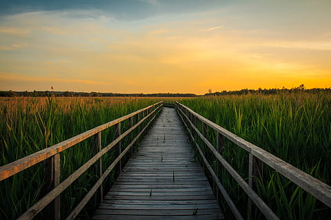 gray wooden bridge near green grass field, sunset, spring lake HD wallpaper