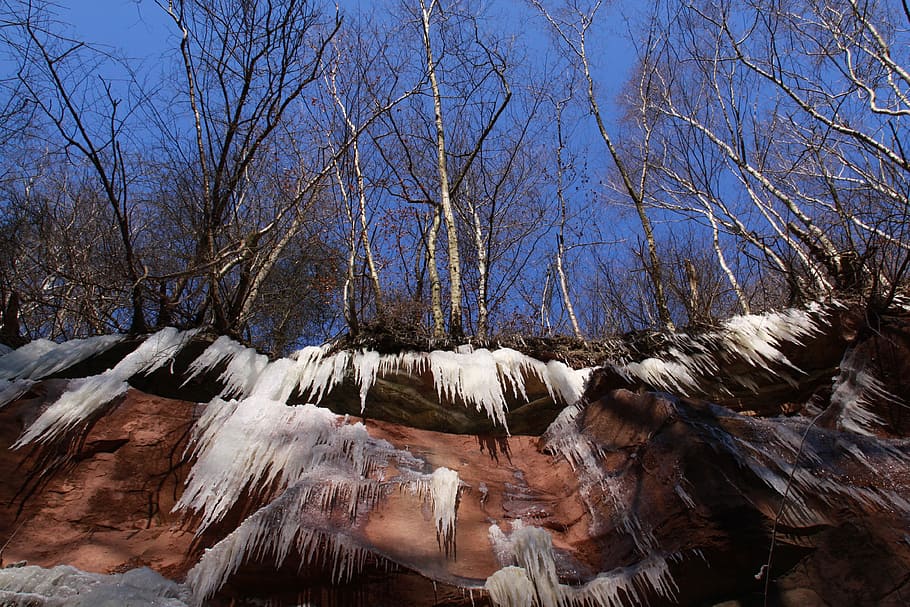 Cascade, Ice, Cascada, Winter, ice formations, landscapes, bare tree HD wallpaper