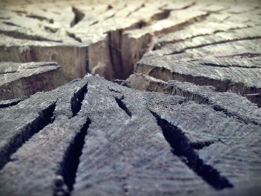Tree, Trunk, Wood, Nature, Bark, Cracks, pattern, backgrounds HD wallpaper