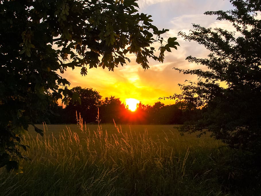 Landscape, Sunset, Dusk, Field, nature, sunlight, outdoors HD wallpaper