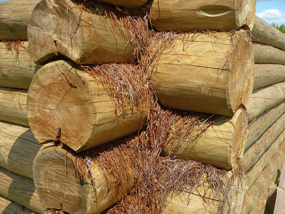 wood, log, logs, chopped, stack, pile, macro, close-up, texture HD wallpaper