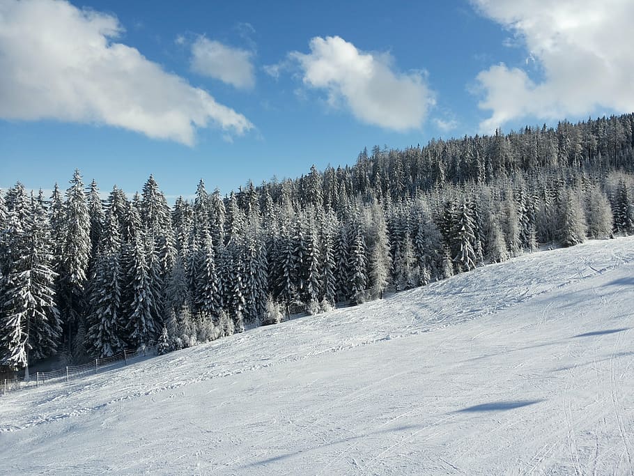 ski area, ski run, gerlitzen, wintry, carinthia, winter, snow magic HD wallpaper